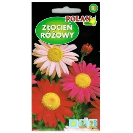 zlocien-rozowy-bylina-miododdajna-nasiona-polan