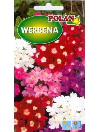 werbena-ogrodowa-0-5g-rozne-kolory-mieszanka-nasiona-polan