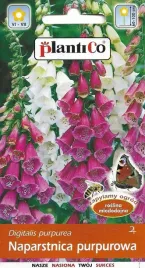 naparstnica-purpurowa-mix-kolorow-nasiona-kwiatow-plantico