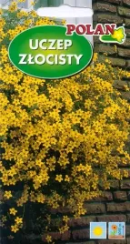 uczep-zolty-zloty-zwisajacy-drobny-2g-nasiona-polan