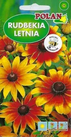 rudbekia-letnia-tetra-gloriosa-daisy-2-g-polan