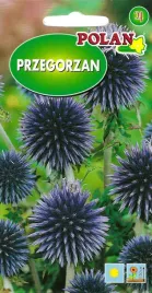 przegorzan-piekne-niebieskie-kwiaty-nasiona-1g-polan