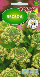 rezeda-wonna-miododajna-2-g-nasiona-polan