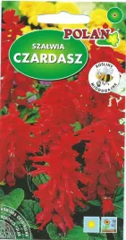 szalwia-czardasz-czerwona-05-g-nasiona-polan