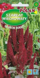 szarlat-wiechowaty-czerwony-red-fox-nasiona-polan-2g