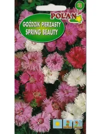 gozdzik-pierzasty-mix-kolorow-nasiona-03g-polan