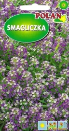 smagliczka-nadmorska-fioletowo-liliowa-miododajna-nasiona-polan