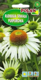 rudbekia-purpurowa-biala-05g-polan