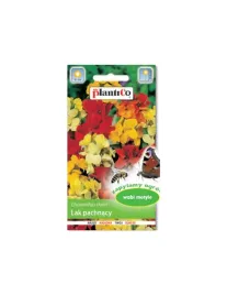 plantico-lak-pospolity-mieszanka-1g-nasiona-plantico