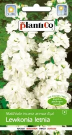lewkonia-letnia-biala-opal-nasiona-kwiatow-05g-plantico