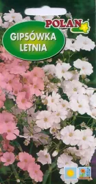 gipsowka-wytworna-letnia-mieszanka-nasiona-polan