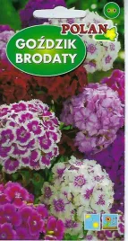 gozdzik-brodaty-mix-2g-ponad-1700-nasion-roslina-dwuletnia-nasiona-polan