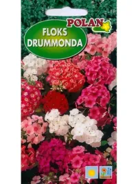 floks-drummondii-mieszanka-nasion-1g-polan-nasiona