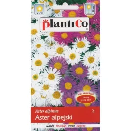 aster-alpejski-karlowy-mix-kolorow-nasiona-plantico
