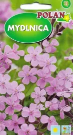 mydlnica-wieloletnia-ogrody-skalne-nasiona-polan-nasiona-05g