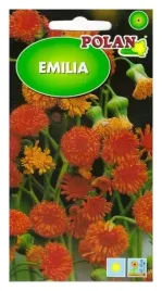 emilia-szkarlatna-03g-polan-nasiona