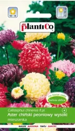 aster-peoniowy-wysoki-mieszanka-1g-plantico-nasiona-plantico