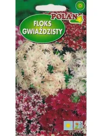 floks-gwiazdzisty-mix-05-g-nasiona-polan