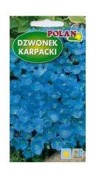 dzwonek-karpacki-niebieski-05-g-polan-nasiona
