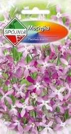 maciejka-jasno-fioletowa-3g-spojnia-nasiona