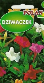 dziwaczek-mix-mieszanka-swiecacy-kwiat-nasiona-polan