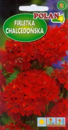 firletka-chalcedonska-czerwona-05g-polan-nasiona