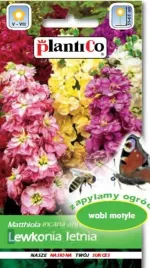 lewkonia-letnia-mieszanka-kolorow-nasiona-05g-plantico