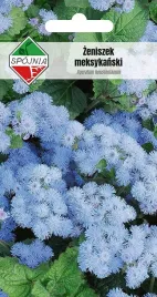 zeniszek-meksykanski-mini-nasiona-spojnia