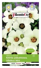 ketmia-poludniowa-hibiskus-letni-1g-nasiona-plantico