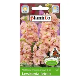 lewkonia-letnia-bara-lososiowa-nasiona-plantico