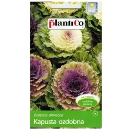 kapusta-ozdobna-05g-mieszanka-kolorow-nasiona-plantico