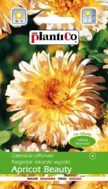 nagietek-lekarski-wysoki-apricot-beauty-2-g-nasiona-plantico