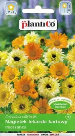nagietek-lekarski-karlowy-mix-kolorow-nasiona-2g-plantico
