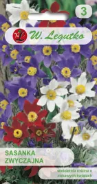 sasanka-zwyczajna-mieszanka-nasiona-kwiatow-wieloletnich-mix-legutko