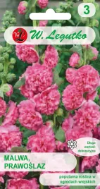 malwa-ogrodowa-prawoslaz-rozowa-nasiona-legutko