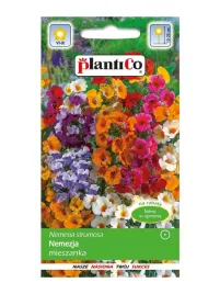 nemezja-powabna-mix-kolorow-nasiona-plantico