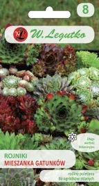 rojniki-mieszanka-gatunkow-idealne-na-skalniaki-nasiona-legutko