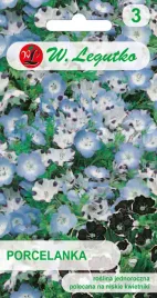 porcelanka-nemofila-piekne-niebieskie-biale-kwiatki-nasiona-legutko