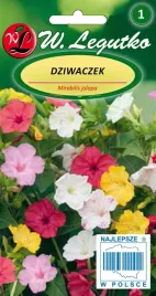 legutko-dziwaczek-jalapa-mix-kwiaty-swiecace-w-ciemnosci-nasiona-2-g