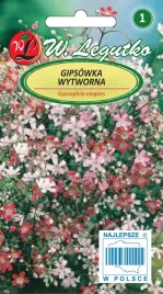 legutko-gipsowka-wytworna-mieszanka-swiezy-zbior-nasiona