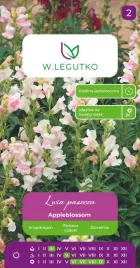 legutko-lwia-paszcza-appleblossom-nasiona-06-g
