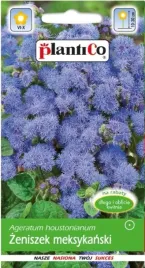 zeniszek-meksykanski-fioletowy-025g-nasiona-plantico
