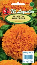 legutko-aksamitka-wzniesiona-pomaranczowe-1g-nasiona