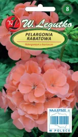 pelargonia-rabatowa-gama-lososiowa-005g-na-balkon-taras-legutko-nasiona