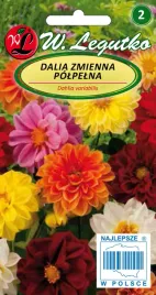 legutko-dalia-zmienna-unwins-mieszanka-karlowa-1g-nasiona
