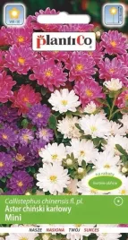 aster-chryzantemowy-karlowy-mieszanka-1-g-plantico