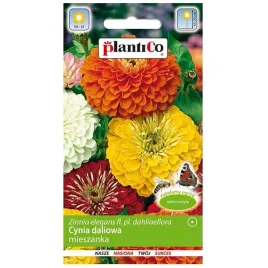 cynia-wytworna-daliowa-mix-nasiona-kwiatow-1g-plantico