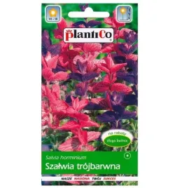 szalwia-trojbarwna-roz-fiolet-nasiona-05g-plantico