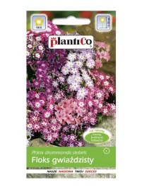 floks-gwiazdzisty-05g-nasiona-nasiona-plantico