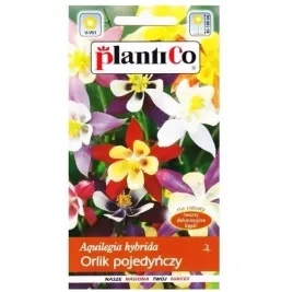 orlik-pojedynczy-mac-kanas-riesen-aquilegia-nasiona-plantico